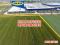 LAND PLOT FOR SALE IN THESSALIA GREECE